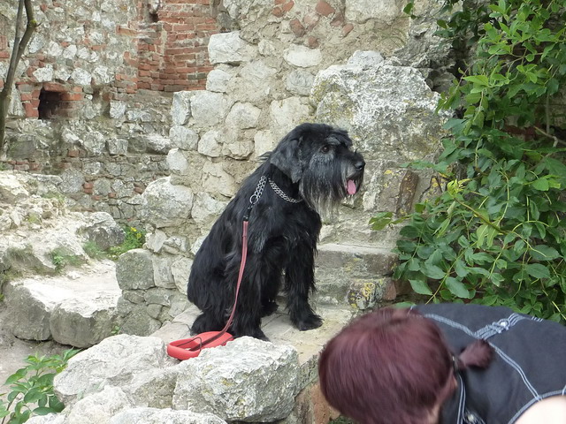 pálava 040.JPG